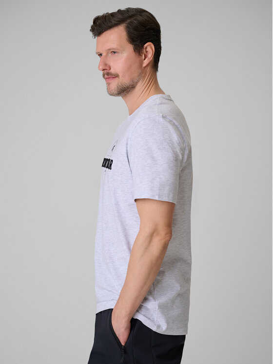 4F 4F T-Shirt SPORTS CLUB Szary jasny Regular Fit