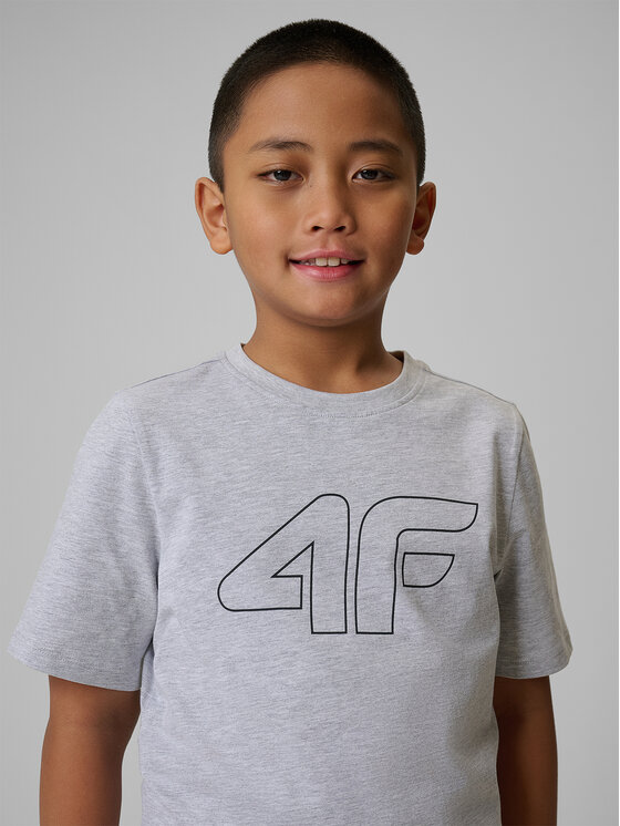 4F 4F T-Shirt BASIC+ Šedá Regular Fit