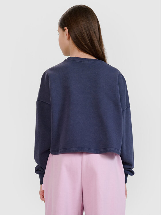 4F 4F Bluza ESCAPE TO NATURE Szary ciemny Regular Fit