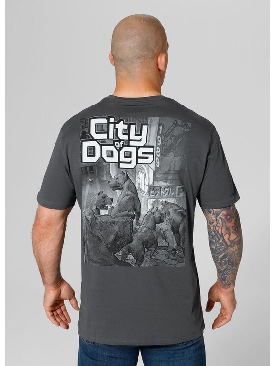 PITBULL PITBULL T-Shirt Koszulka Szary Regular Fit