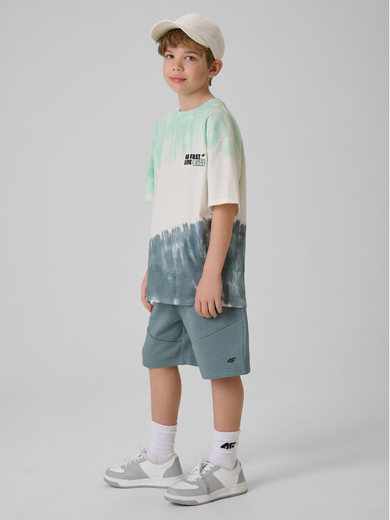 4F 4F Szorty sportowe SKATE & RIDE Turkusowy Regular Fit