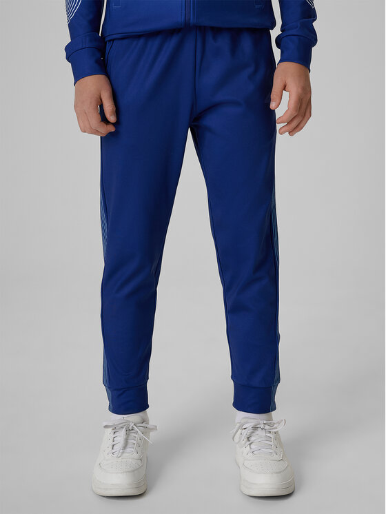 4F 4F Spodnie dresowe AQUA FORCE Kolorowy Regular Fit
