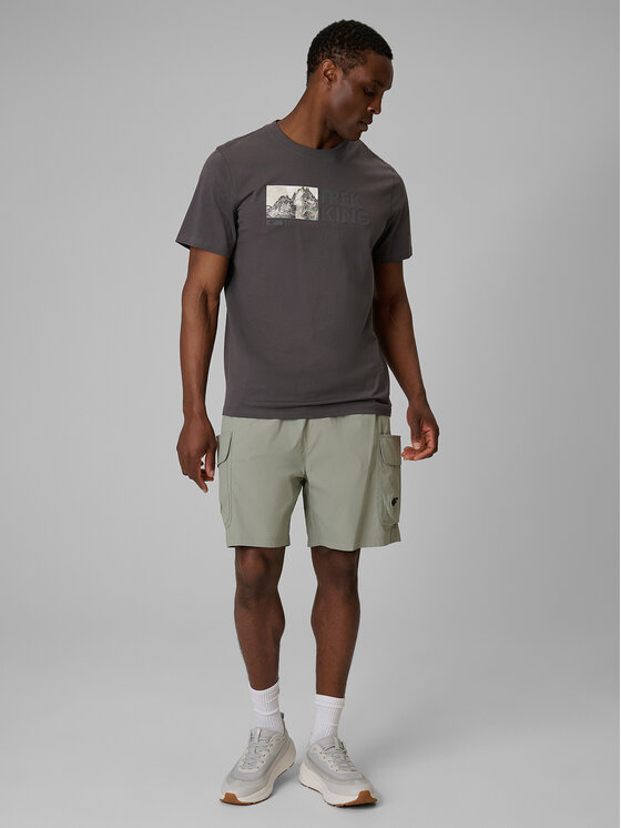 4F 4F T-Shirt TREKKING Szary Regular Fit