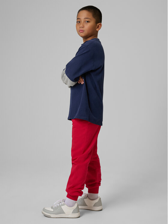 4F 4F Spodnie dresowe BASIC+ Czerwony Regular Fit