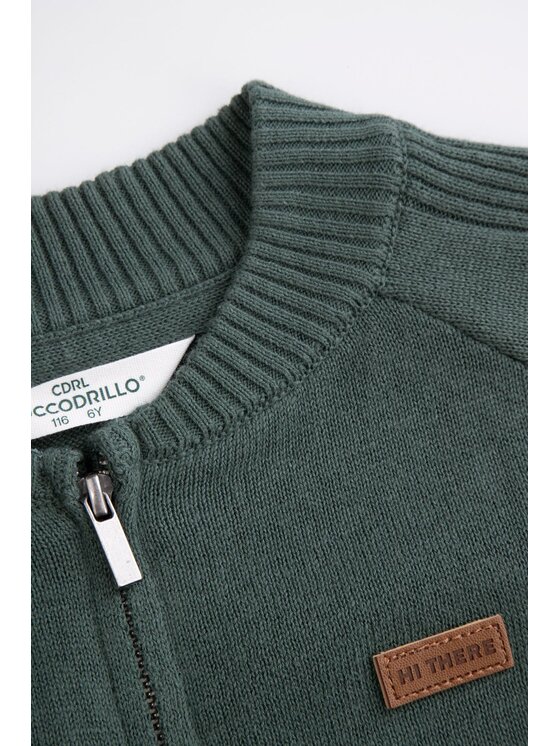 Coccodrillo Coccodrillo Sveter ZC5172201XBK-011 Zelená Regular Fit