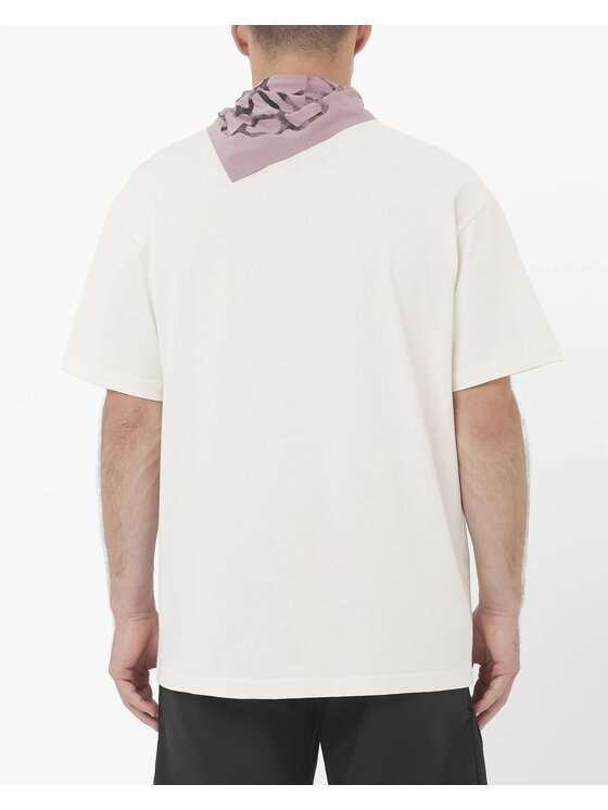 Salomon Salomon T-Shirt CHEST LOGO RELAXED TEE M Beżowy Relaxed Fit