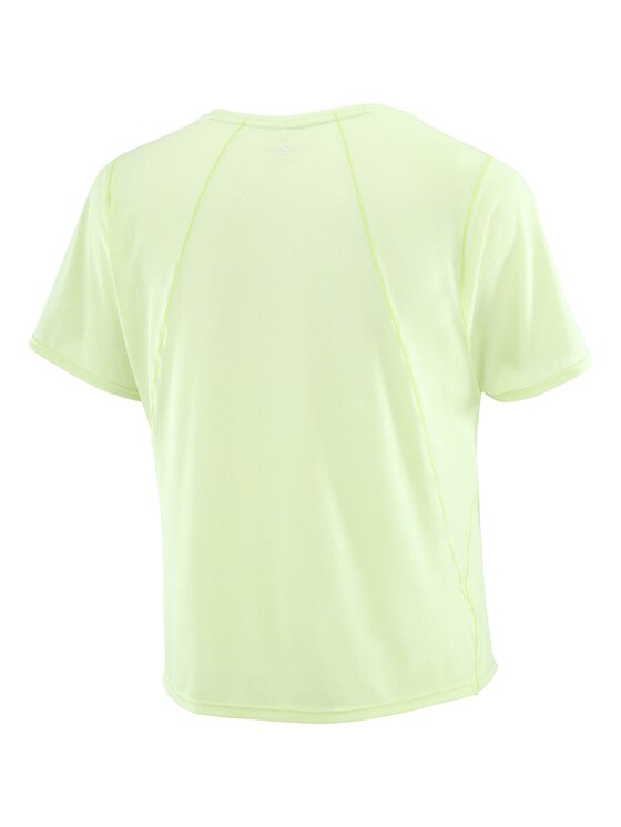 Salomon Salomon Koszulka techniczna SHAKEout AIR CROPP SS TEE Zielony jasny Regular Fit