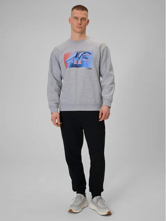 4F 4F Bluza WINTER CODE Szary jasny Regular Fit