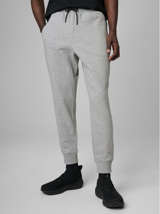 4F 4F Spodnie dresowe NOS Szary jasny Regular Fit