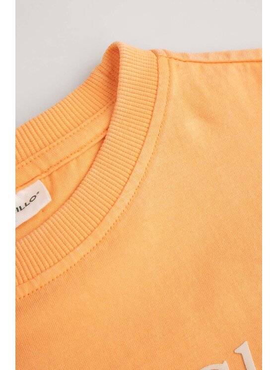 Coccodrillo Coccodrillo T-Shirt WC6143203IBK-006 Oranžová Regular Fit