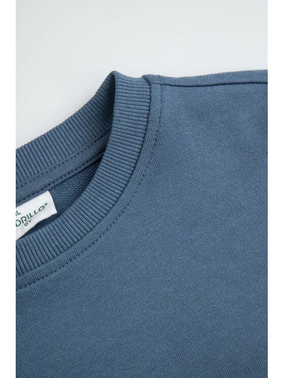 Coccodrillo Coccodrillo Tepláková souprava ZC6117301VBA-014 Modrá Regular Fit