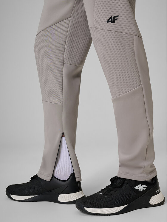 4F 4F Spodnie dresowe CORE SYSTEM Szary Regular Fit