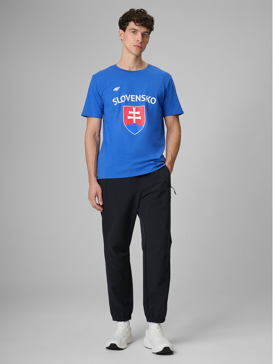 4F 4F T-Shirt TEAMWEAR Niebieski Regular Fit