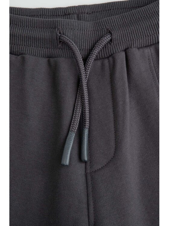 Coccodrillo Coccodrillo Spodnie dresowe ZC6120203WBJ-020 Szary Regular Fit