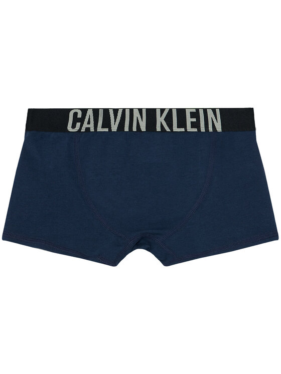 Calvin Klein Underwear Calvin Klein Underwear Комплект боксерки B70B700122 D Цветен
