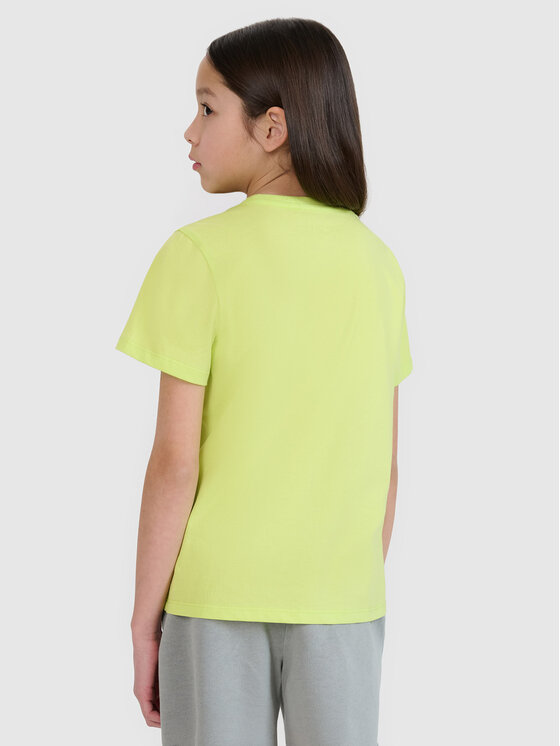 4F 4F T-Shirt SWELLS OF THE OCEAN Zielony Regular Fit