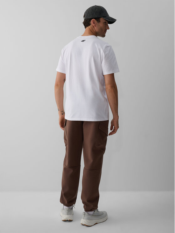4F 4F Spodnie dresowe OVERLAND Brązowy Regular Fit