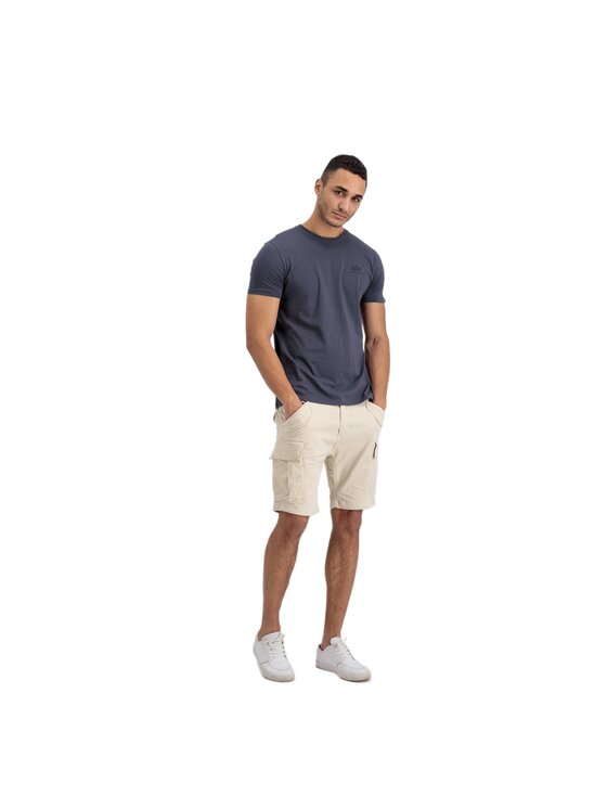 Alpha Industries Alpha Industries T-Shirt AI.128507-412-L Šedá Regular Fit