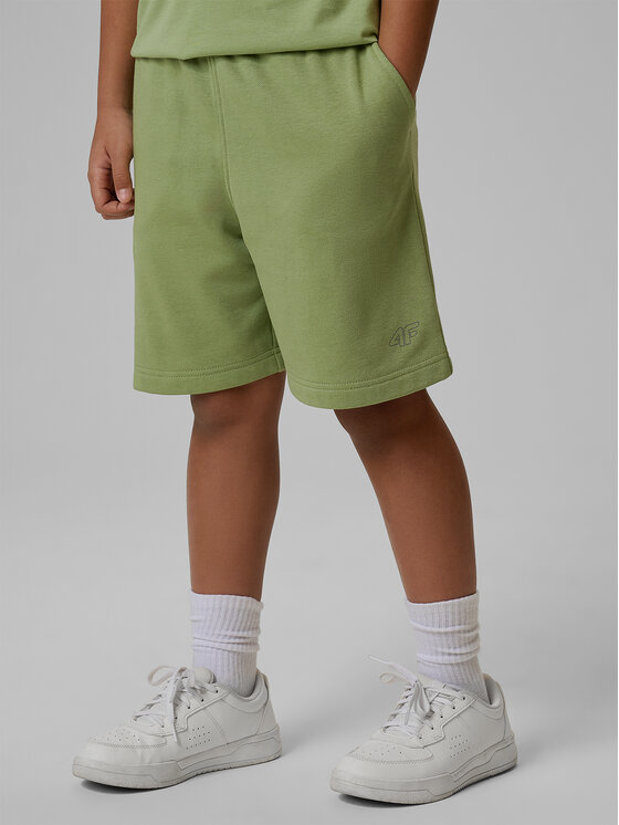 4F 4F Szorty sportowe BASIC+ Turkusowy Regular Fit