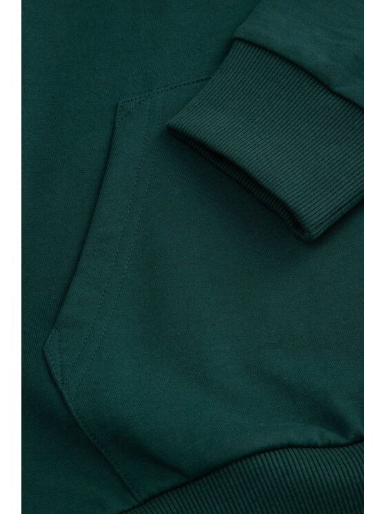 Coccodrillo Coccodrillo Mikina WC6132301VBA-011 Zelená Regular Fit