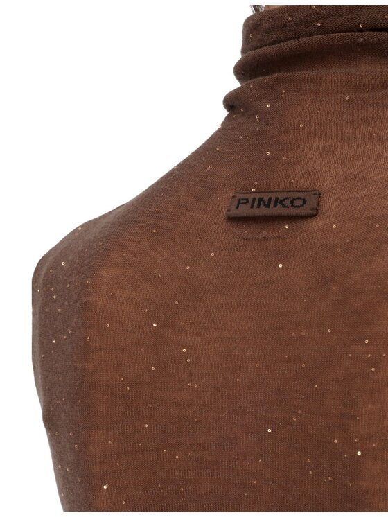 PINKO PINKO Maglione 85928 Marrone Regular Fit
