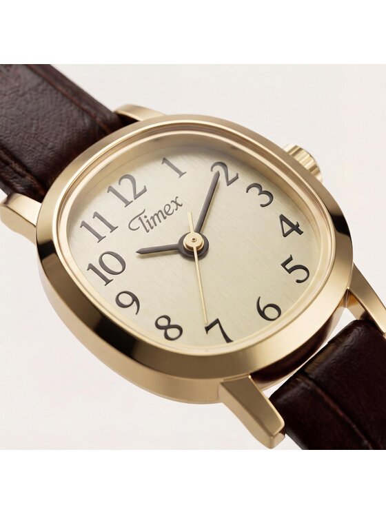 Timex Timex Hodinky TW2Y87700 Hnědá