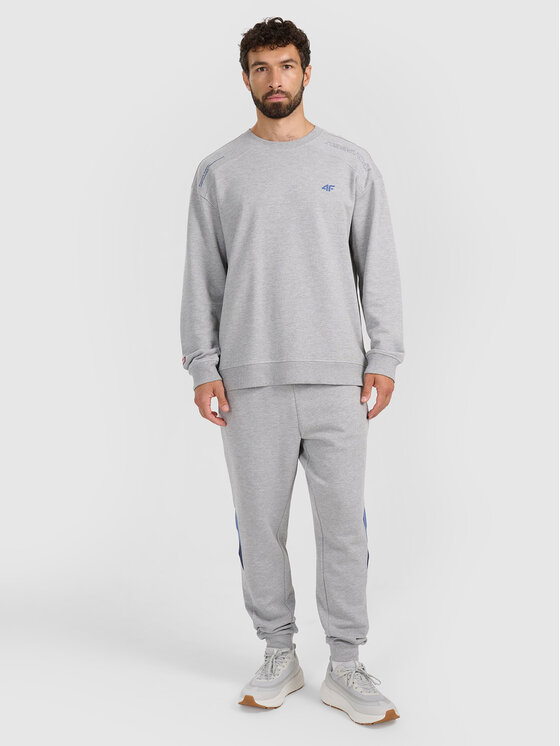 4F 4F Bluza VICTORY FIT Szary jasny Regular Fit