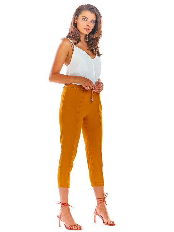 Awama Awama Spodnie damskie A306 Brązowy Basic Fit