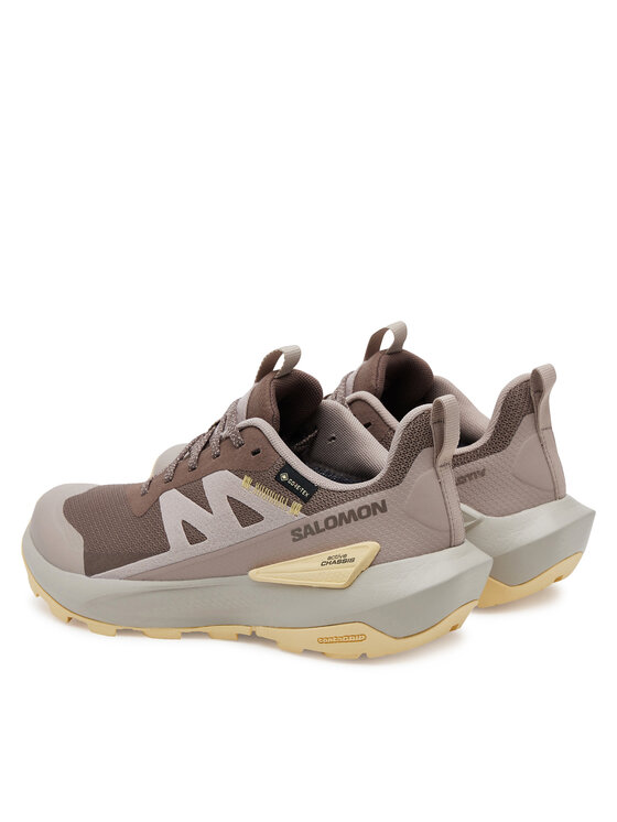 Salomon Salomon Pārgājienu apavi Elixir Activ Gore-Tex L47760100 Brūns