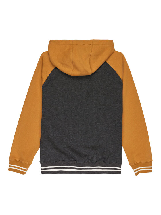 Quiksilver Quiksilver Mikina Knowledge Area EQBFT03949 Barevná Regular Fit