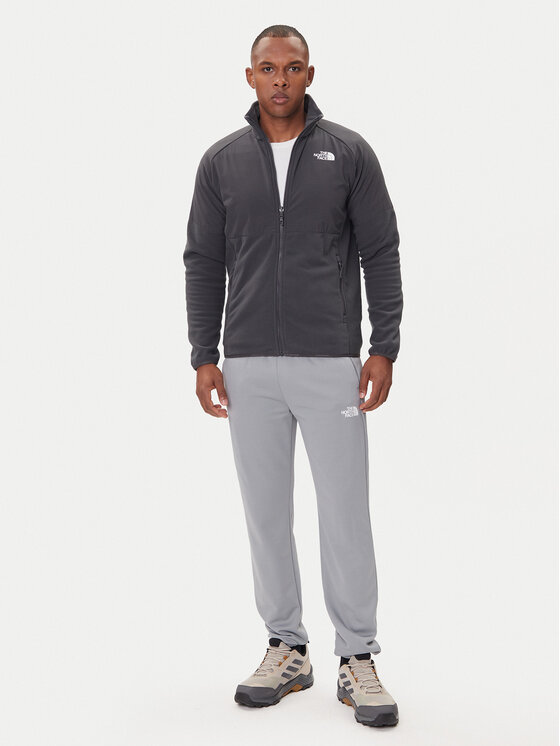 The North Face The North Face Sportinės kelnės Reaxion 2.0 NF0A8DRS Pilka Regular Fit