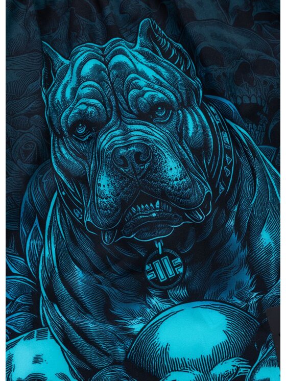 PITBULL PITBULL Szorty sportowe GUARDIAN ANGEL Czarny Regular Fit