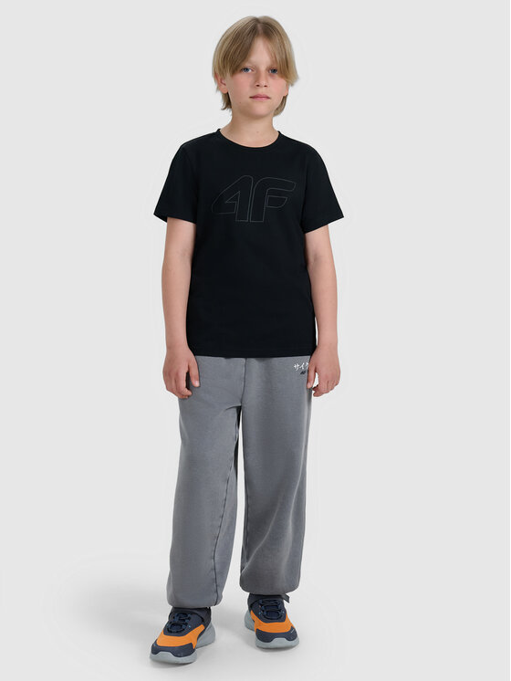 4F 4F T-Shirt BASIC+ Czarny Regular Fit