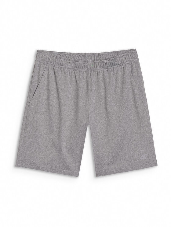 4F 4F Szorty sportowe MULTI ACTIVE Szary Regular Fit