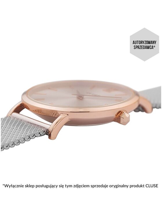 Cluse Cluse Hodinky CW0101203004 Stříbrná