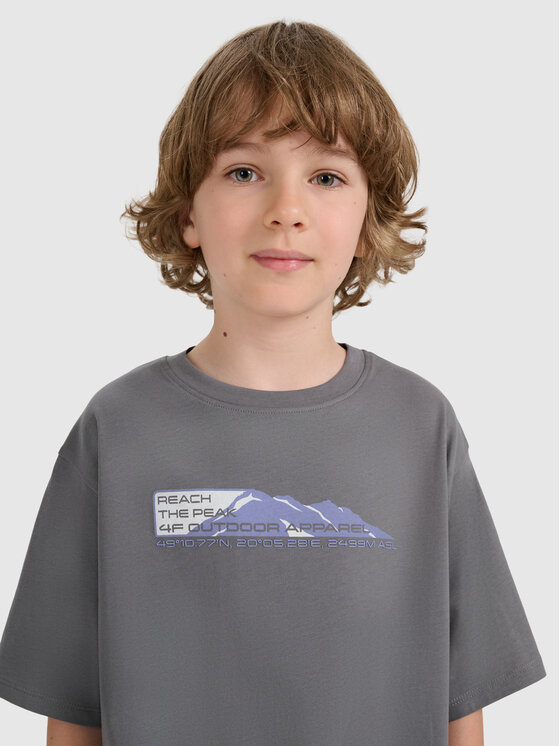 4F 4F T-Shirt APRES SKI Szary Oversize