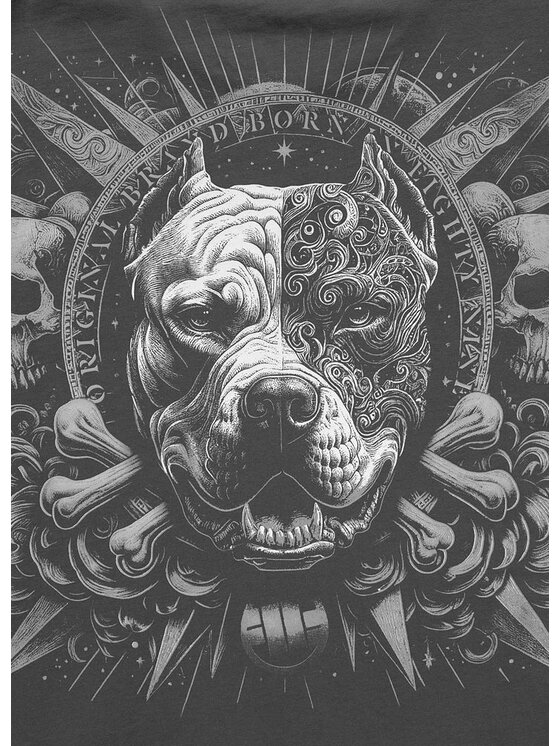 PITBULL PITBULL T-Shirt PITBULL WORLD Szary Regular Fit