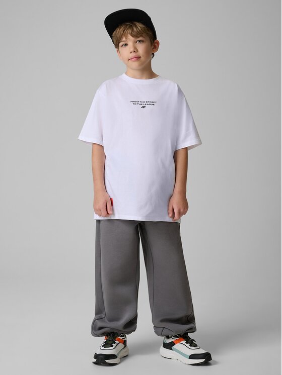 4F 4F Spodnie dresowe STREET SPORT Szary Loose Fit