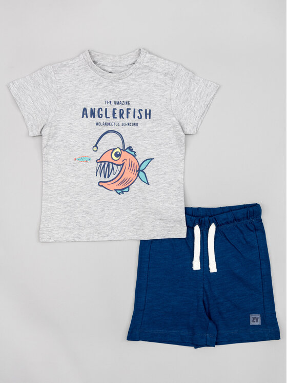 Zippy Zippy Set T-Shirt und Shorts ZBBAP0602 23007 Grau Regular Fit