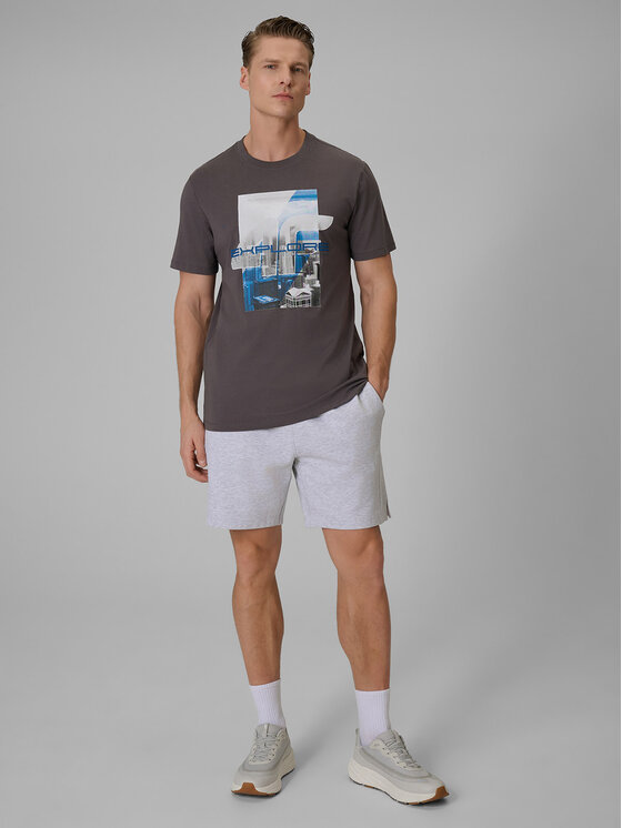4F 4F Szorty sportowe CITY Szary jasny Regular Fit