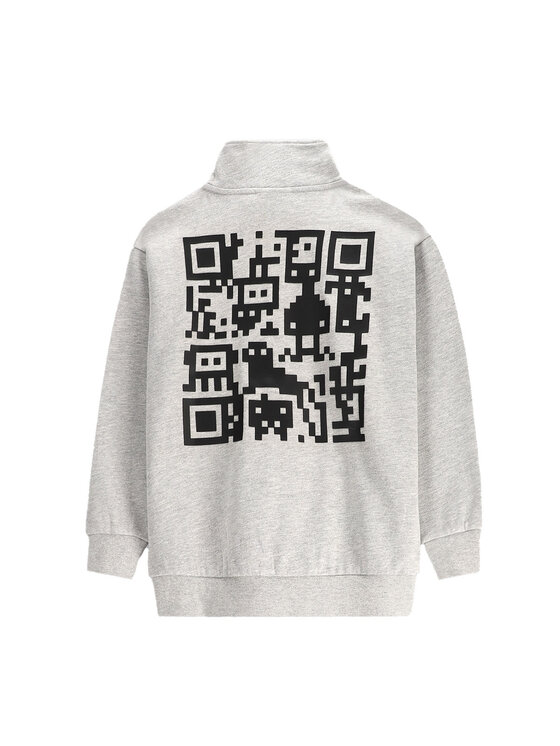 Coccodrillo Coccodrillo Sweatshirt WC5132201GBJ Grau Regular Fit