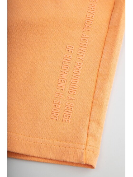Coccodrillo Coccodrillo Šortky z materiálu WC6120501IBJ-006 Oranžová Regular Fit
