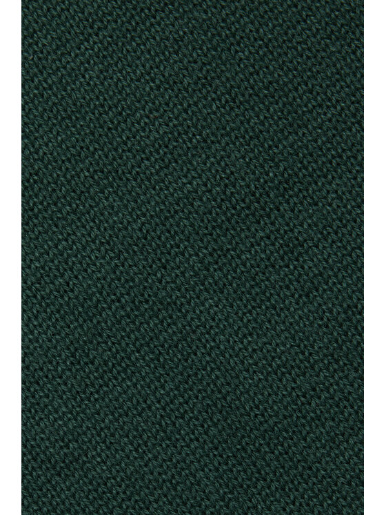 Próchnik Próchnik Sweter PM8 SW073224000010 Zielony Regular Fit