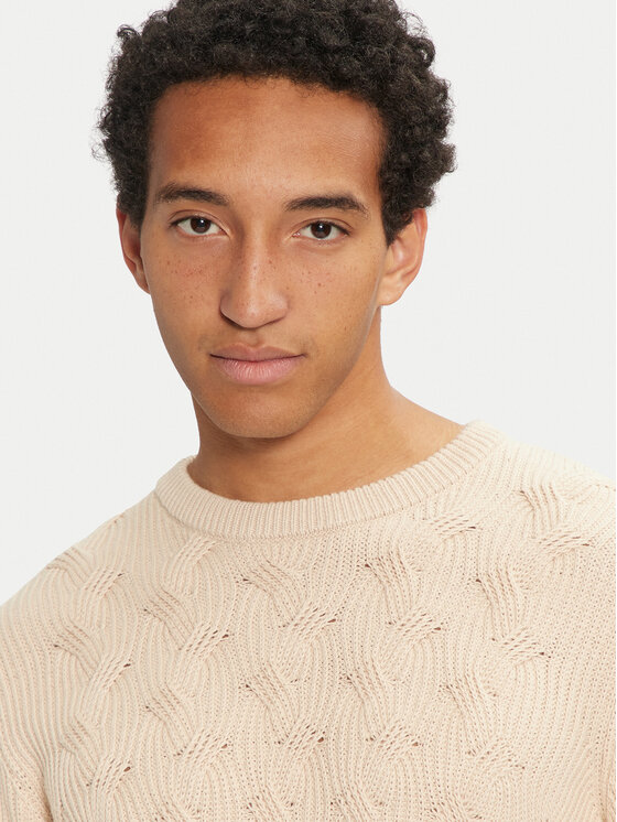 Selected Homme Selected Homme Džemper 16094503 Bež Regular Fit