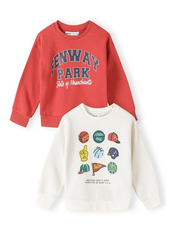 minoti minoti Bluza 33FLEECE201 Kolorowy Regular Fit