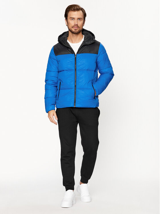 4F 4F Kurtka zimowa 4FAW23TDJAM243 Niebieski Regular Fit