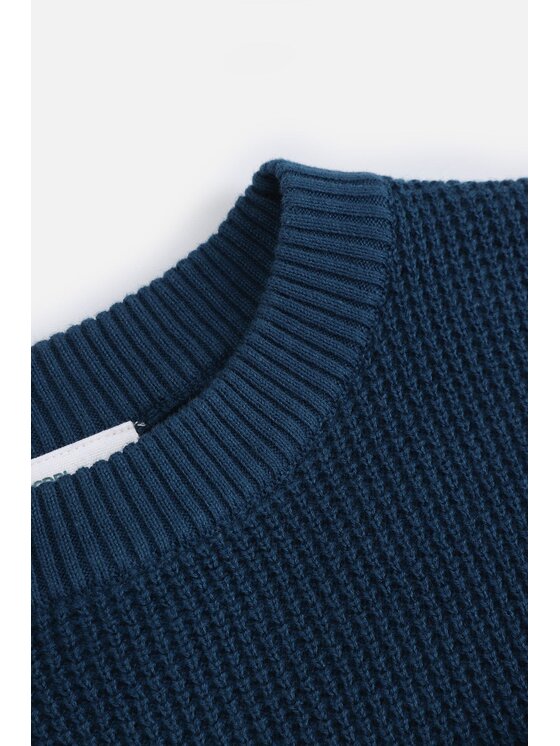 Coccodrillo Coccodrillo Sweter ZC4172103ABJ-014 Niebieski Regular Fit