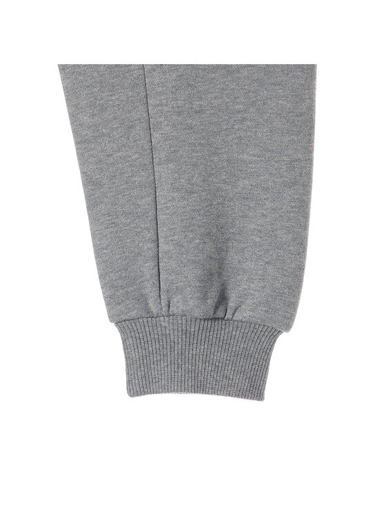 Puma Puma Bluza 532207 Szary Regular Fit