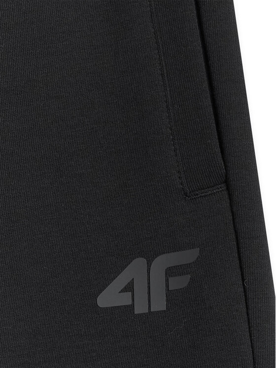 4F 4F Spodnie dresowe ESSENTIAL 2 Czarny Regular Fit