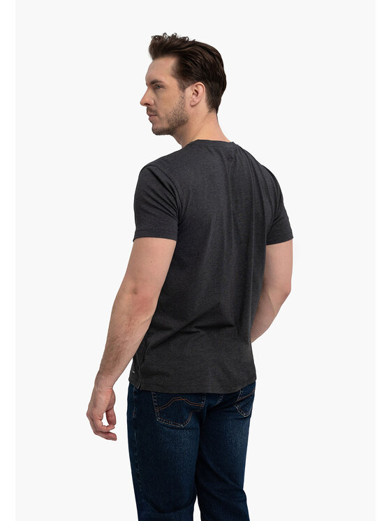 Volcano Volcano T-Shirt T-WARU Szary Regular Fit
